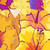 Marsha Johnson Tribute Hawaiian Shirt with Floral Pattern - Detail