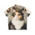Calico Cat Watercolor Hawaiian Shirt - Back