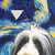 Bearded collie wearing a Hawaiian shirt with a starry night design - Detail