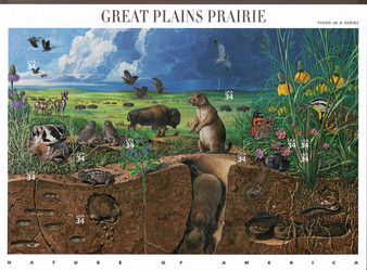 2001 #3506 Great Plains Prairie