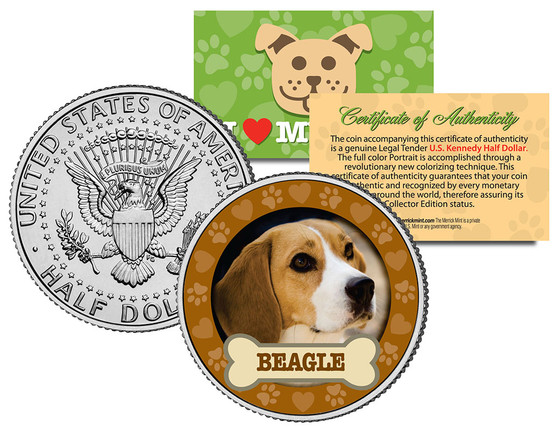 Beagle