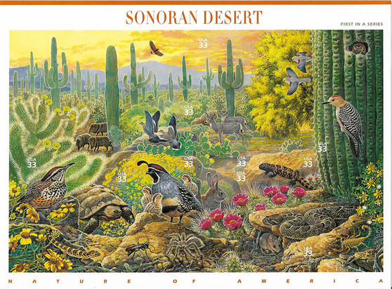 1999 #3293 Sonoran Desert