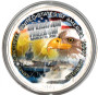 Operation Freedom Eagle Commemorative Silver Eagle in Protective Coin Capsule