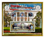 Donald J. Trump Inauguration Day Colorized Coin & Currency Set in 8" x 10" Frame