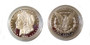 Morgan Dollar Mirror Proof Replica Coin - Choose from 3 Dates 2
