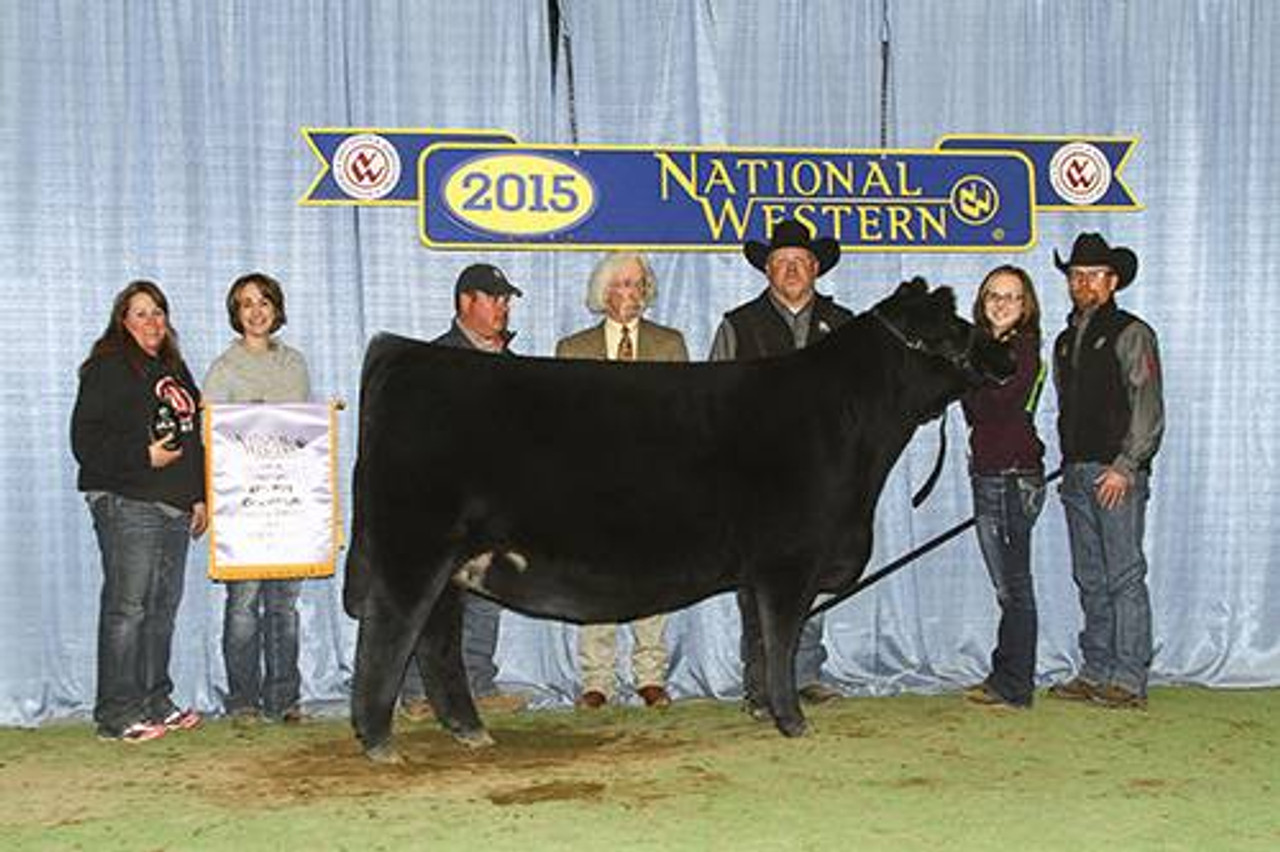 BLACK Bull　8枚 JASS ON THE MARK 69D • Cattle Visions • Premier Multi-Breed