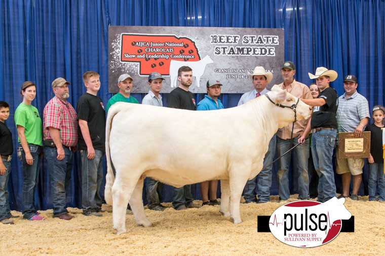 TR MR Diablo 2742Z ET - CATTLE VISIONS