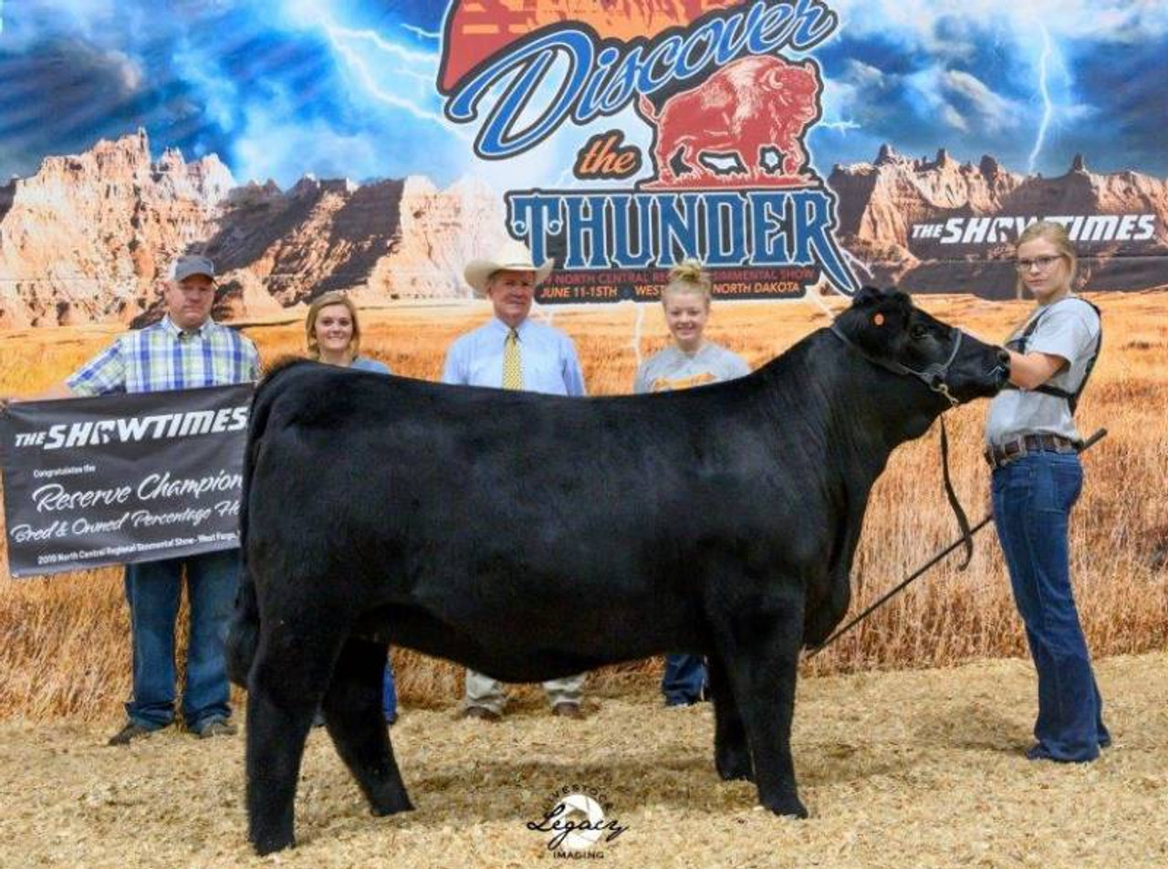VCL LKC EQUITY 608D • Cattle Visions • Premier Multi-Breed