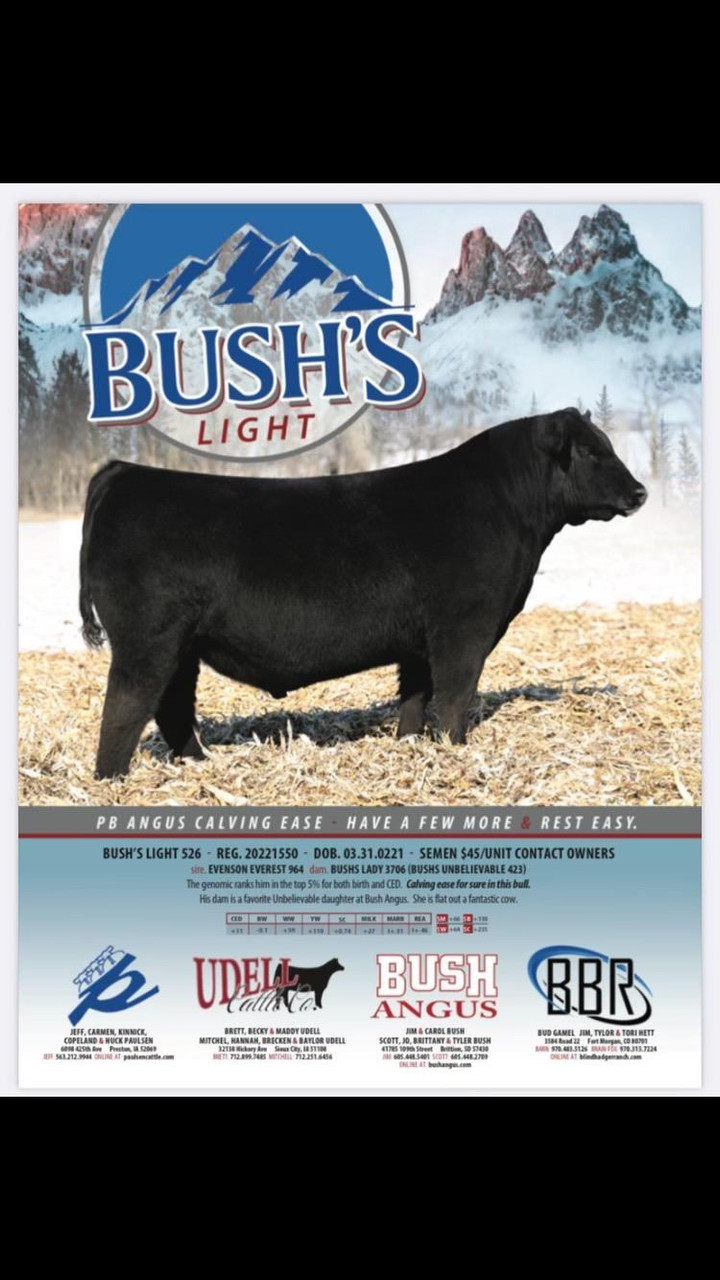 Bushs Light • Cattle Visions • Premier MultiBreed Online Semen Distributor