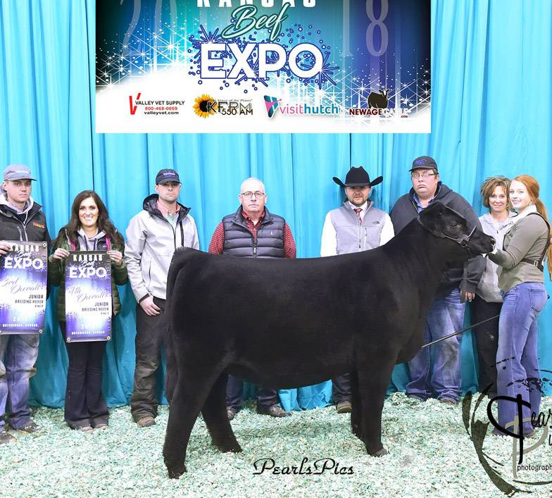 Musgrave Sky High 1535 • Cattle Visions • Premier MultiBreed Online