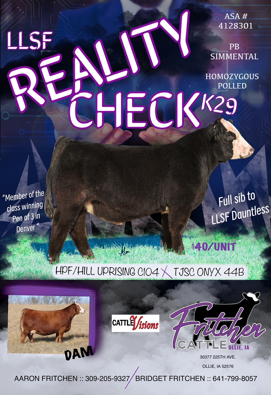 LLSF Reality Check K29 - CATTLE VISIONS