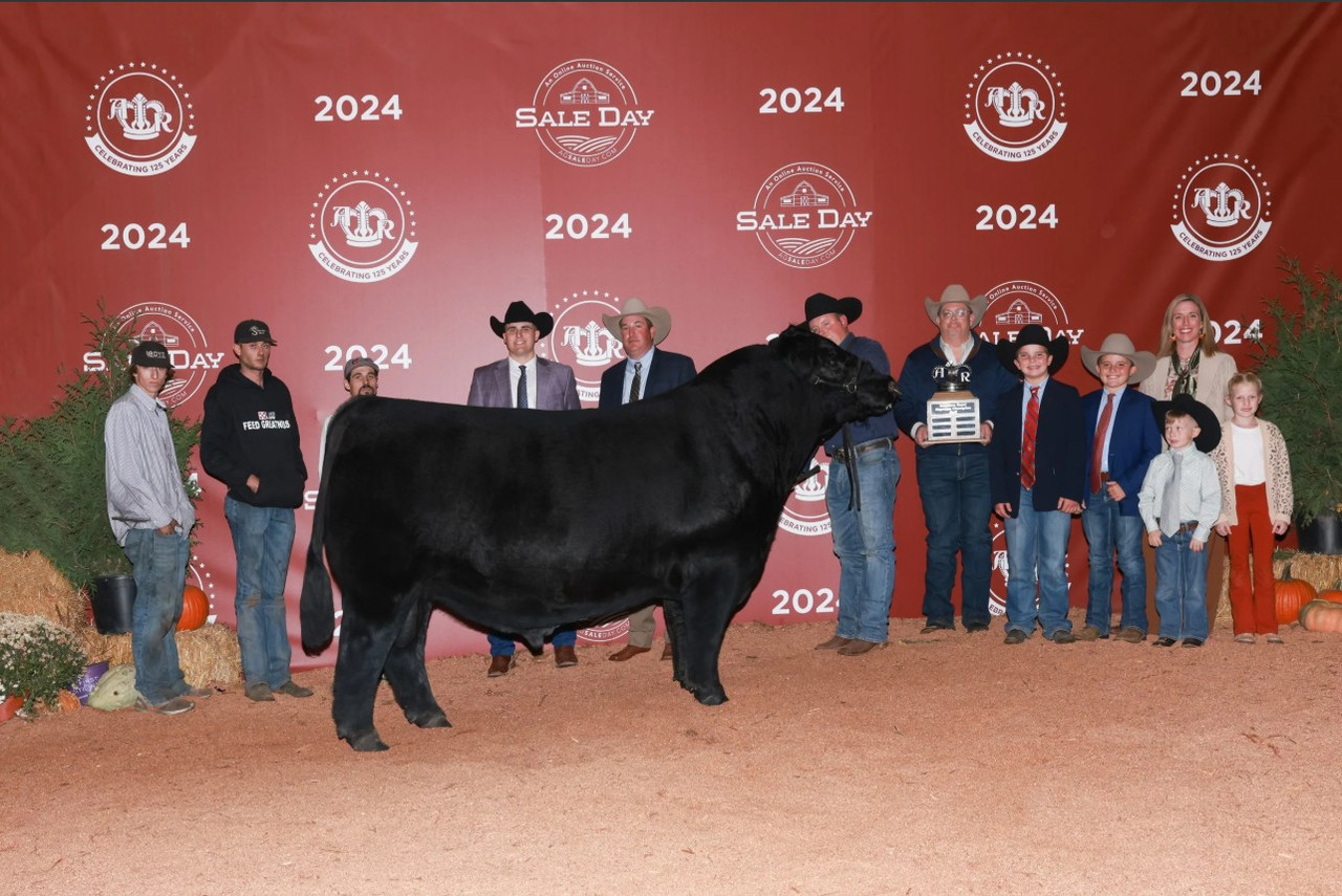 BNWZ Paisley 2143 • Cattle Visions • Premier Multi-Breed
