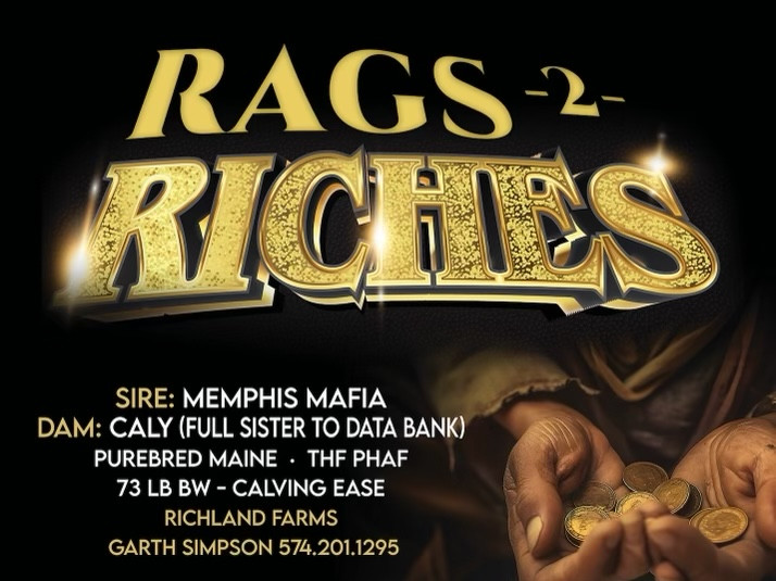 SBSC RF FCF Rags To Riches ET - CATTLE VISIONS