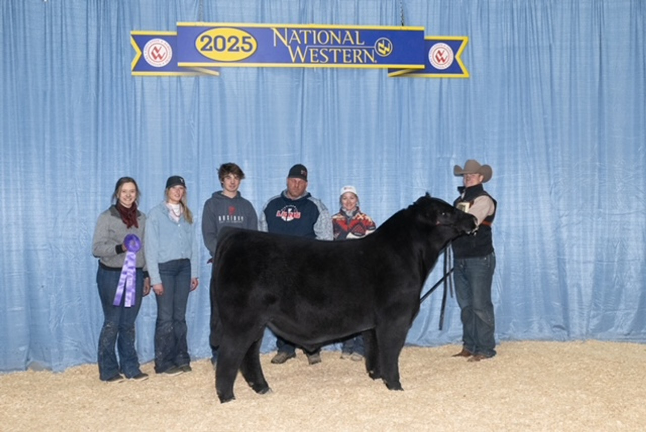 NGB1/Schrader's Medallion 471M - CATTLE VISIONS
