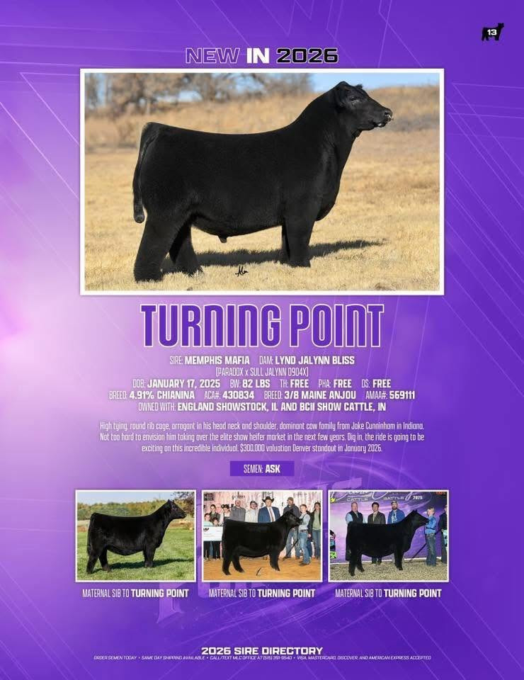 BCII ESS TURNING POINT 67N ET - CATTLE VISIONS