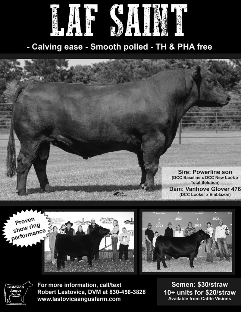 LAF Saint • Cattle Visions • Premier MultiBreed Online Semen Distributor