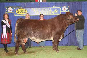 LAKESIDE DOC CLARK 918