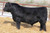 Sold to Webb Ranch - Butch Webb, Isabel SD-$15,000
