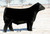 BPF Kingmaker 162C