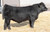 CLRS General Lee 655G