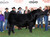 I Reckon 043J