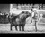 RP/CMFM John B J104
