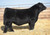 KCC1 Exclusive 116E