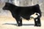 2019 sale feature at Goretska's