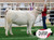 Daughter - LJR MS Gunsmoke 2605F