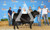 Class Champion Lightweight Angus Steer @ 2021 Houston