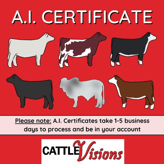 Boyd Cartwright 3303 A.I. Certificate