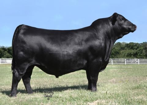 VAR Ranger (sale)