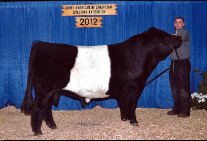 Marben's Jasper Park (AI)