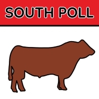 South Poll