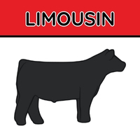 Limousin