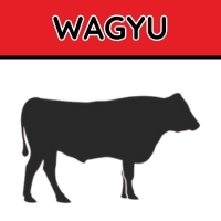 Wagyu