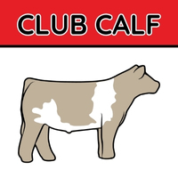 Club Calf