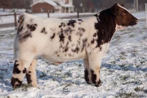 media__41409.1719955022.jpg?c=1