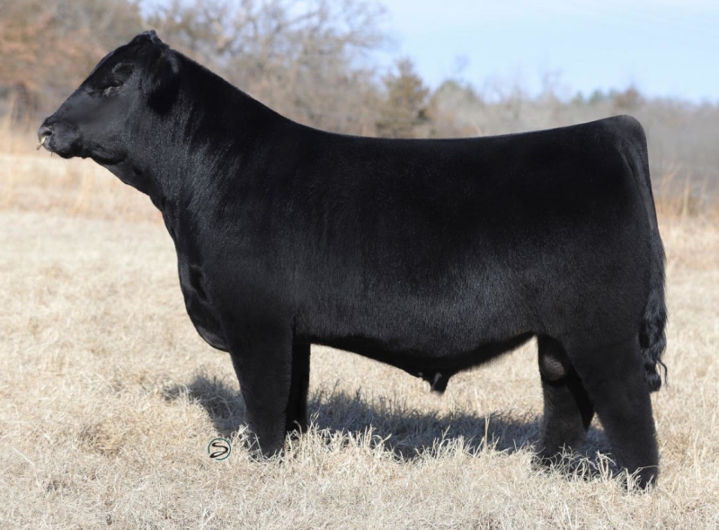 英7” The Kingstonians I Am Just A Minstrel BU409 Bullet /00050 The Kingstonians – I Am Just A Minstrel – Vinyl (7