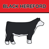 Black Hereford