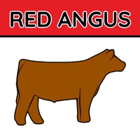 Red Angus