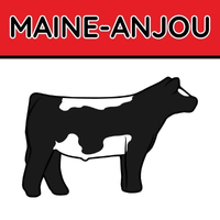 Maine Anjou