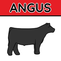 Angus
