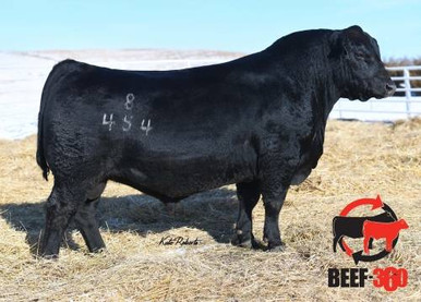 Connealy Commerce Connealy Convoy • Cattle Visions • Premier Multi-Breed Online Semen ...
