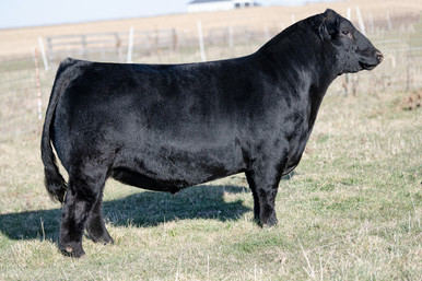 media__33618.1720455324.386.