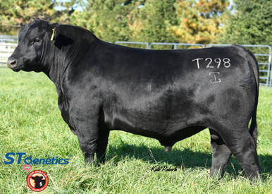 GAR Greater Good(1/4cc) - CATTLE VISIONS