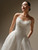 Tamar - New Arrival!