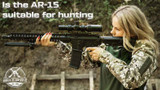 Is the AR-15 suitable for hunting?