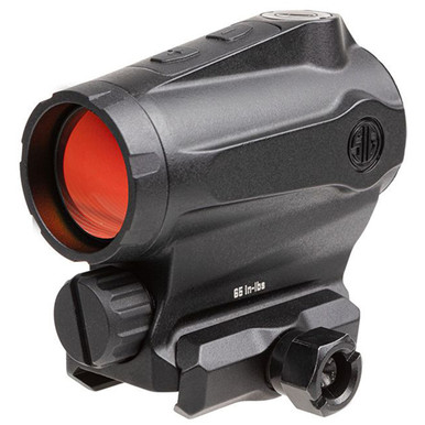 Amazon.com : SIG SAUER Romeo5 1X20mm Tactical Hunting