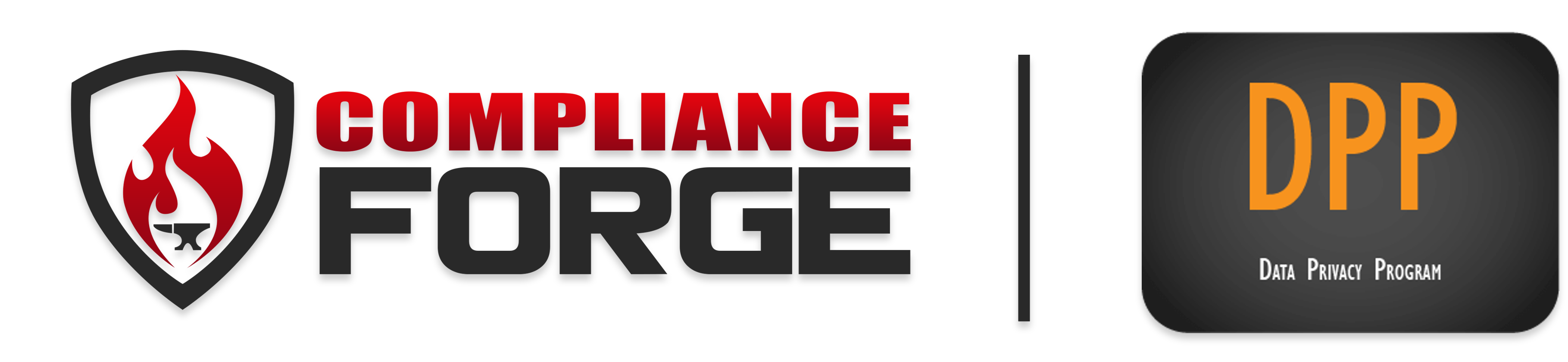 data privacy program